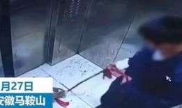 小男孩被爆料视频真实事件,真相与反思